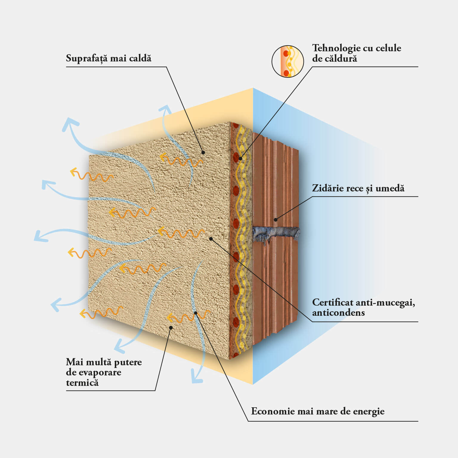Aplicarea bio-tencuielii PRIMA dezumidificante și termoizolante